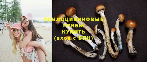 дмт Волоколамск