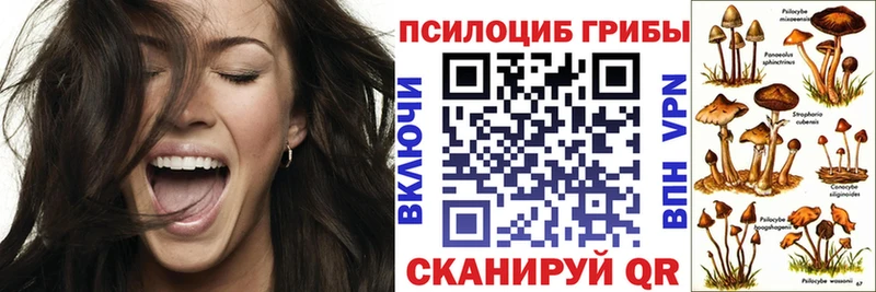 закладка  Уссурийск  Псилоцибиновые грибы GOLDEN TEACHER 