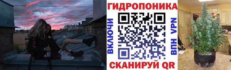 это телеграм Уссурийск Бошки Шишки Bruce Banner kraken как войти